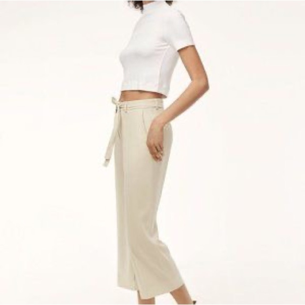 Aritzia Babaton Lambros Pant - Picture 5 of 8